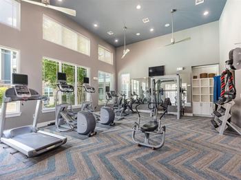 Fitness Center at Delray Apartments in Houston, TX